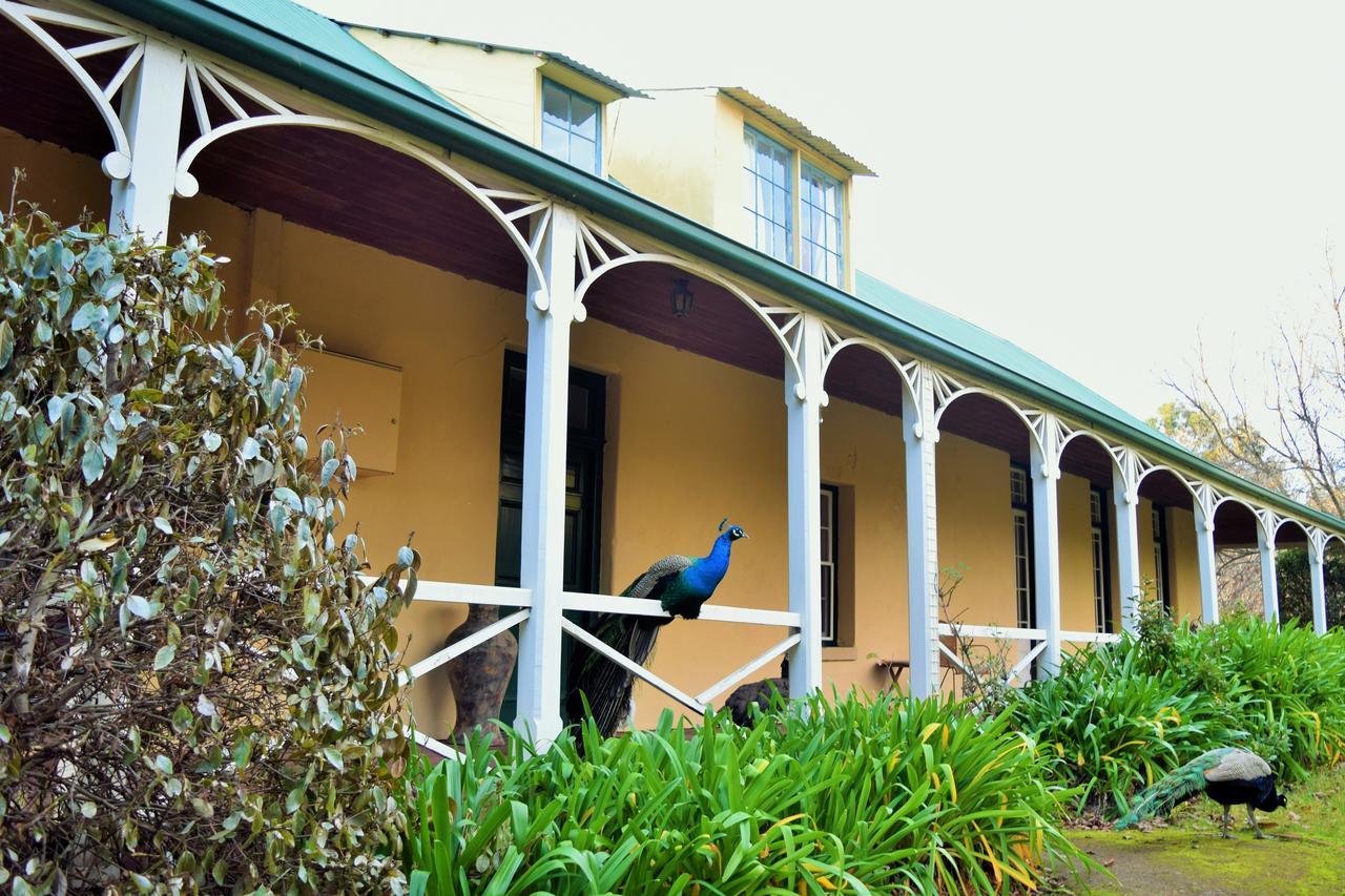 Cleburne Homestead Risdon Esterno foto